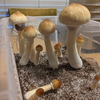 2022-03-11_3840x2880_58917aebacbe3734b0a9061a6ab93e5bdffd4f2811e108f7