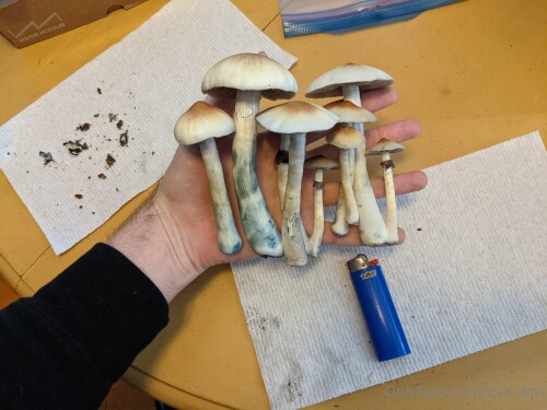 2022 03 11 3840x2880 5c6b06d11b862ce5487418f2caf7844f3caed4daf767edb4