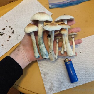 2022-03-11_3840x2880_5c6b06d11b862ce5487418f2caf7844f3caed4daf767edb4