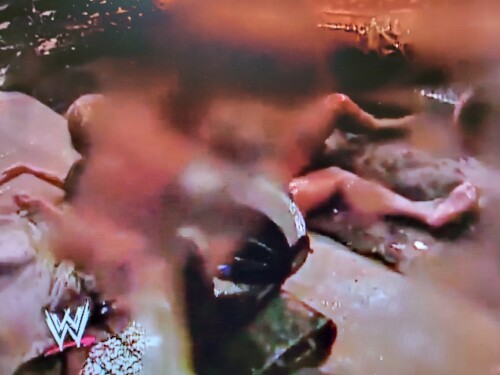 20221027 232652228f0123d9ce8cc5