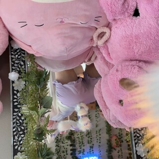 2023-03-25-22-01-12-496132946432892954