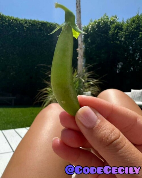 2023 08 06 codececily Cvm5HY4Ozwz74187cc7ef386a2f