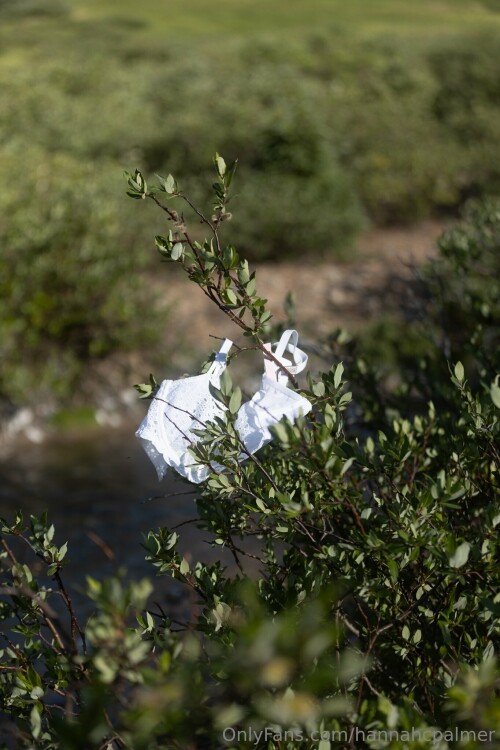 2023 10 16 1365x2048 b3ed61838f8e6cbbf1a4119defddce3bee3b5951838fc0c5