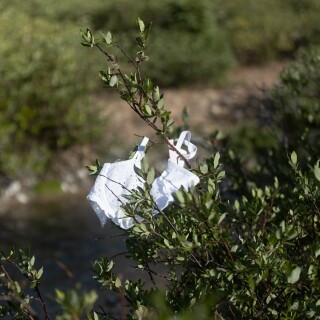 2023-10-16_1365x2048_b3ed61838f8e6cbbf1a4119defddce3bee3b5951838fc0c510e1f01acd5246ee