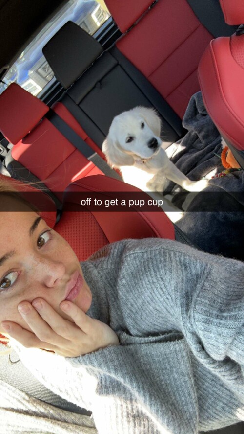 2023 10 19 livvy gymnast 1d10c4b3e25cc38fc