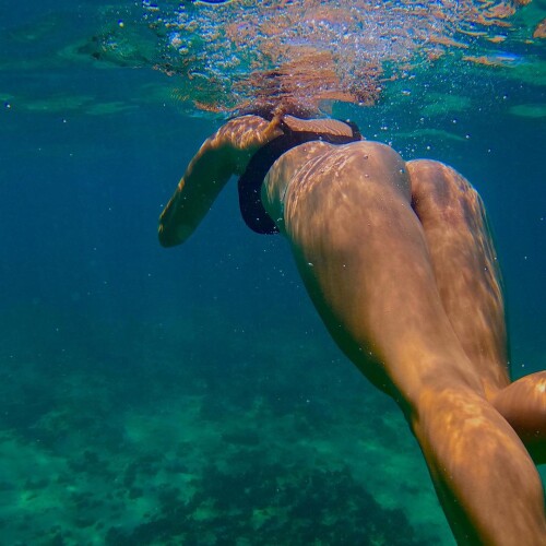 2023 11 07 07 01 58 UTC 15696a442a0c81eff