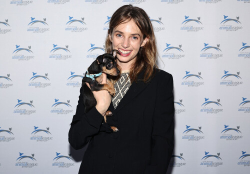 2023 11 17 2818298d57723037d40ac7