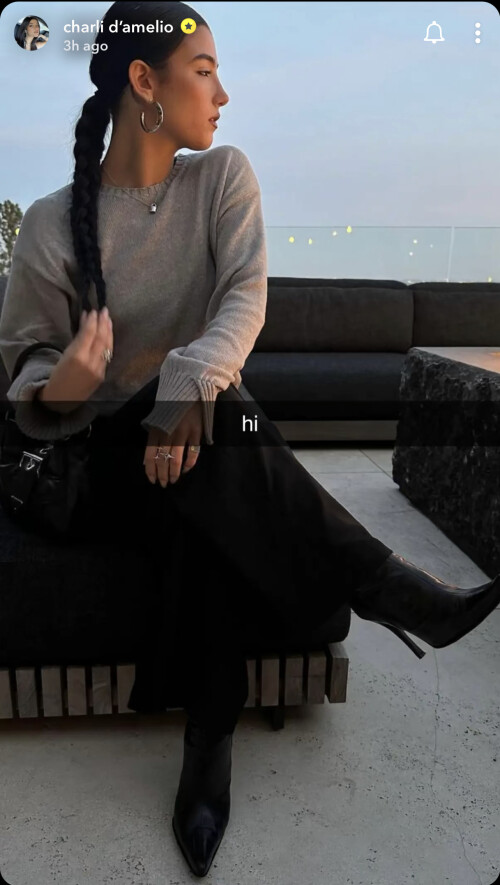 20230330 112312 CharliDamelio1.PNG1283x2272