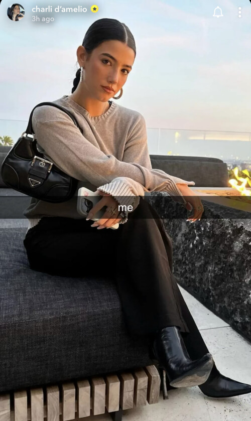 20230330 112312 CharliDamelio2.PNG1283x2152