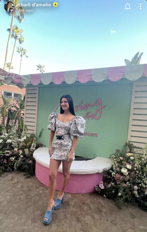 20230330 112313 CharliDamelio3.PNG1283x2025