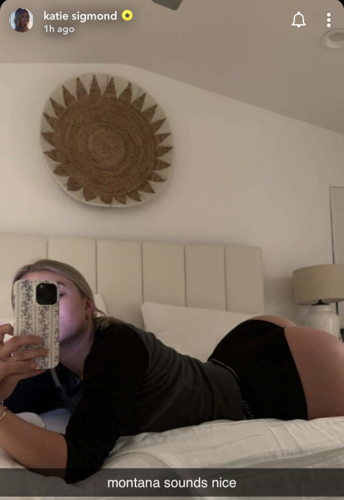 20230415 094350 KatieSigmond6.PNG 1283x1864