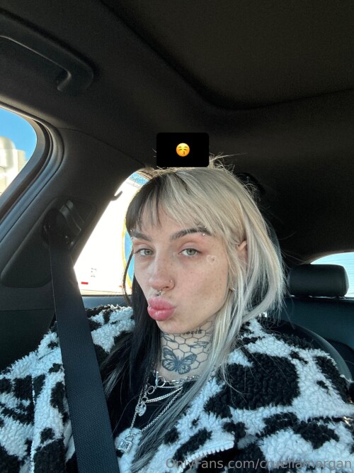 2024 02 15 3204027288268dbe67cba8894d