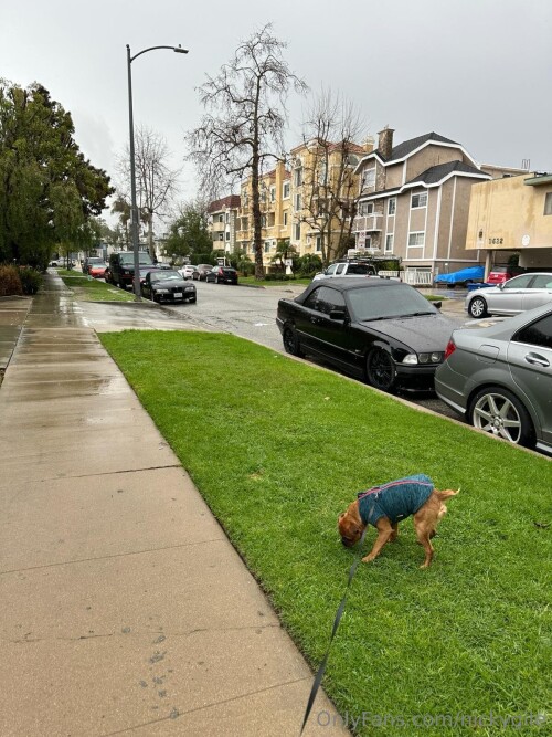 2024 02 20 1200x1600 7d852e9ebaff6575c0faf66fa8f8b6efccbf7d9cd56f2d7d