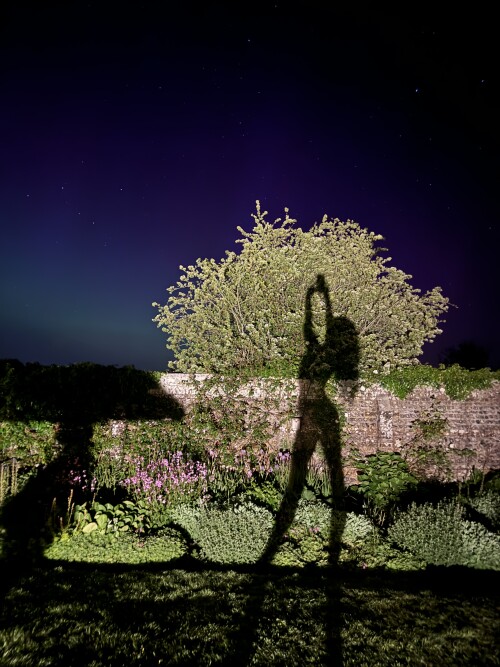 2024 05 11 TwitterPhoto 243dd4e3a4501e0b5