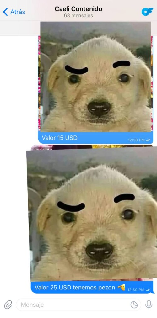 20240203 17381167930ef4f10b12a4