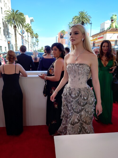 20240310 18582096990b63447b7f4f