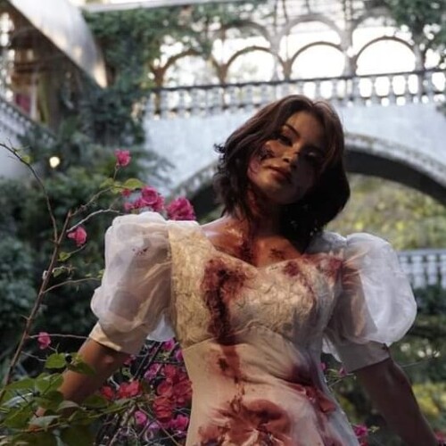 20240414 115610c49492e3d566c3c5