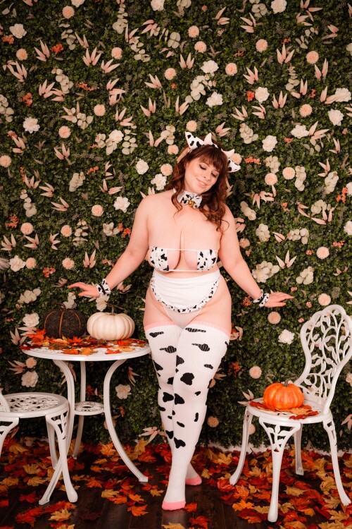 20241102 184829165902da68cd29f7