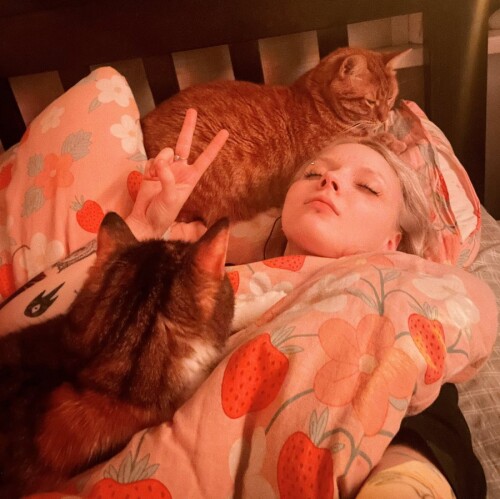 20241108 1949491ca3fbe2760767b9