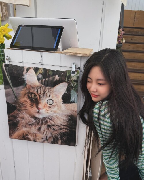 2025 03 08 15 21 58 UTC 3341ae0d4b05f4e0e