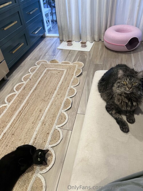 2025 04 04 3024x4032 9ea30a22c5c117af98989fd9a7c313aba75fe7c64a818c8b