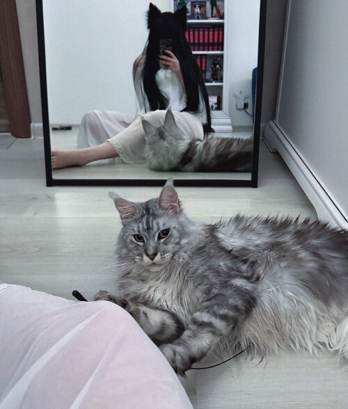 2025 10 31 anna himejima DQf0IvRCIgP 5740f628eb925087f