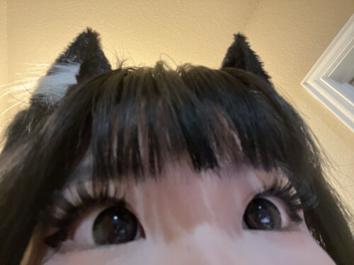 20250126 125543cf0249ba6f970c2e