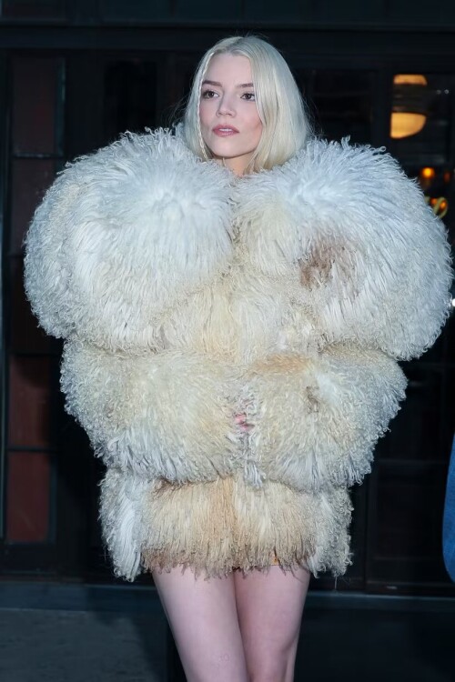 20250204 1348475aae61eaa63e453c