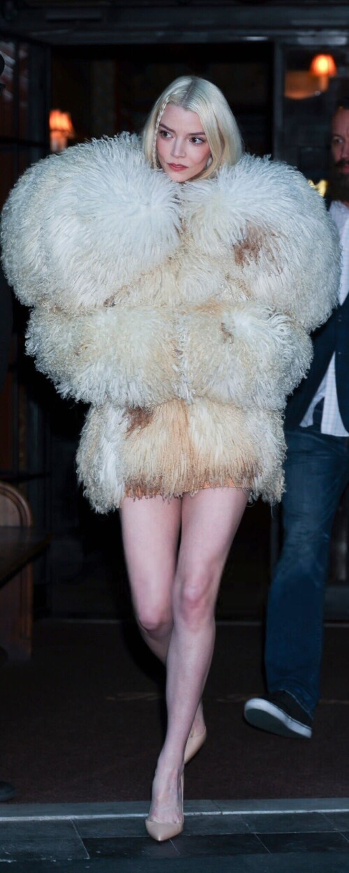 20250204 1349095a82c26ef2cd1293