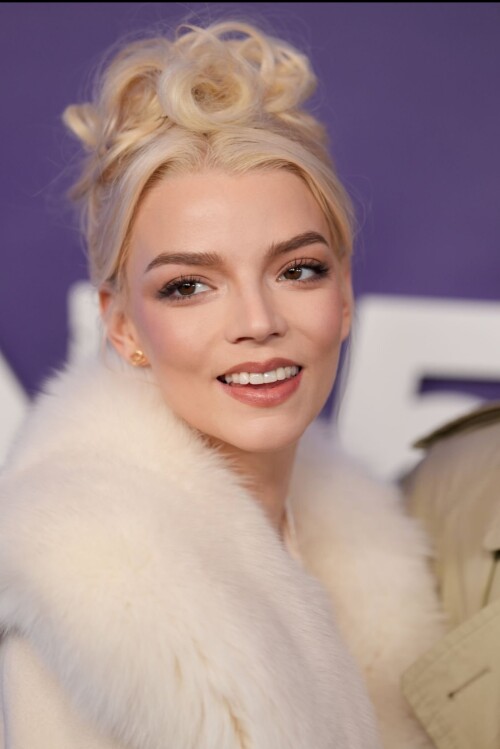 20250214 222744969552e91b42a819