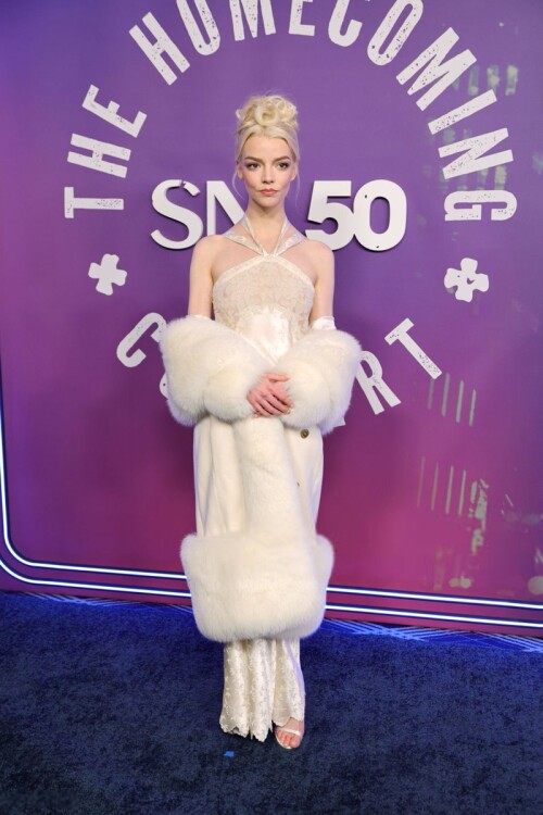 20250214 22280060b53149d3826f25