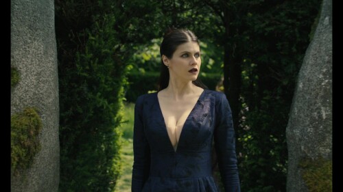 2025 Mayfair207 6 f5fe598d09dcf787