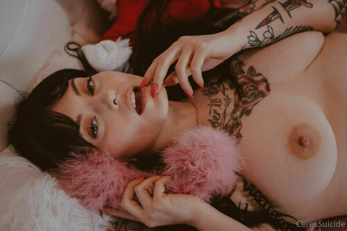 2048x1365 9206fc1aa722ba8208c93a0f5e3ed1bb