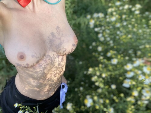 2048x1536 bc4e7e3646a29107825257b78ee452ff