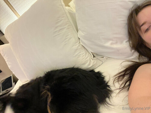 2048x1536 ea49a09d109ad771f58e956d81da95d3