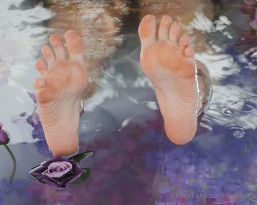 2048x1636 445108991fe2889d9eef4af90083a3df