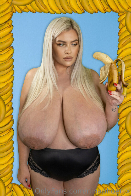 2048x3072 0e56012bee2c0253636339463b7da0a5