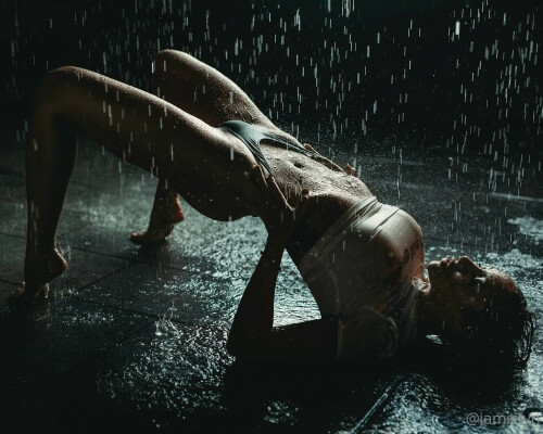 2049x1639 4d7a34ada8b028e85db60c8c6b12fd73