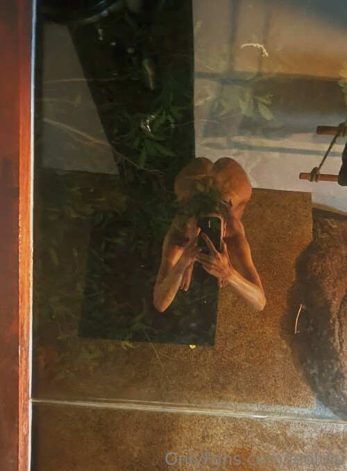 2112x2870 645fc6850667e0ed2e945668d2008b66