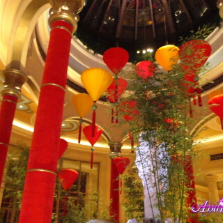 212-04-lg8195cd03697caa67