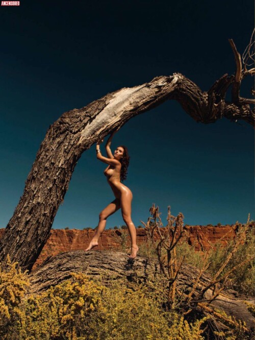 2129578a 2ecc 493c afe4 e2576e377161f97fba15859cc697