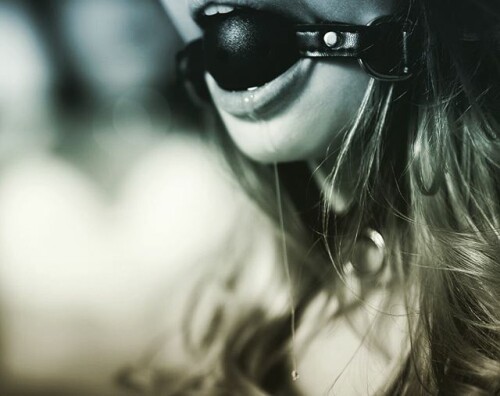 21371722 146465439285428 2777307745458585600 n