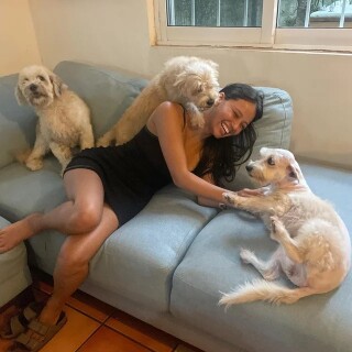 21372c599e3013f980c6