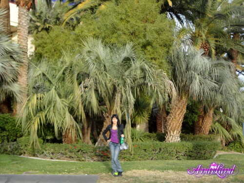 214 02 lg6f31a635612cf7b0