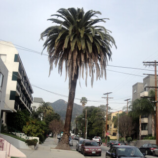 216-08-lg3f92d0a6e951771b