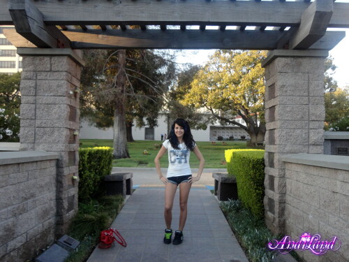 218 39 lg3db1a562138c2704