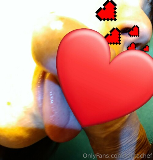 2198x2288 cd0465011c4f7d55768795acb9afa47e11a97361b2a00084