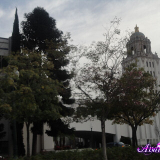 222-57-lg6c0f648910483547