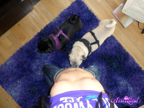 224 14 lgc641c55752cf5fea