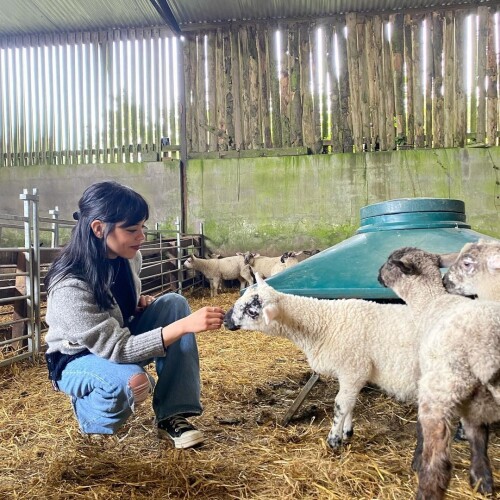 230486496e1c75da2cbc47c2e